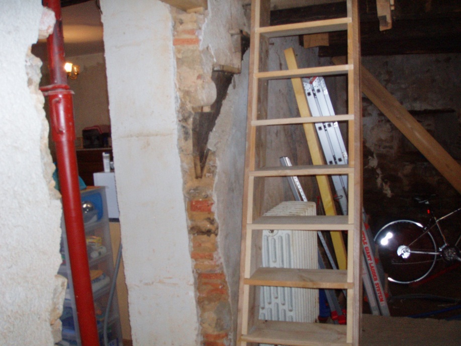 Image of Home made millers ladder